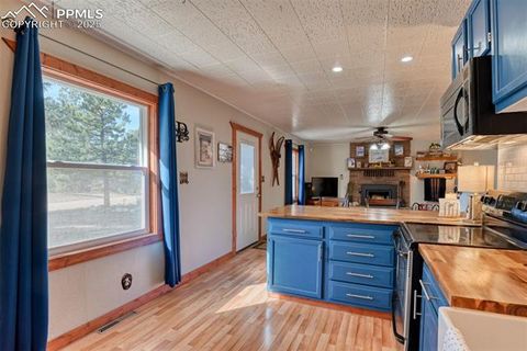 Tiny photo for 281 Mesa Drive, Florissant, CO 80816 (MLS # 6522610)