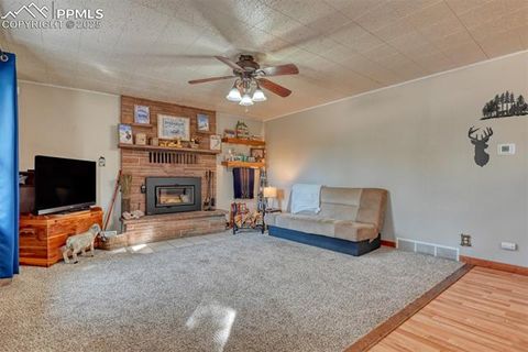 Tiny photo for 281 Mesa Drive, Florissant, CO 80816 (MLS # 6522610)