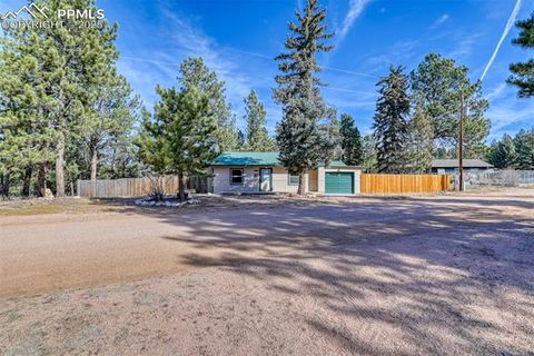Tiny photo for 281 Mesa Drive, Florissant, CO 80816 (MLS # 6522610)