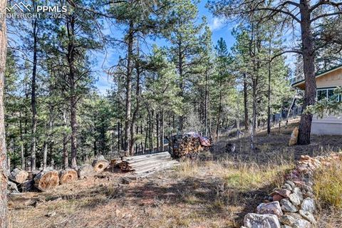 Tiny photo for 281 Mesa Drive, Florissant, CO 80816 (MLS # 6522610)