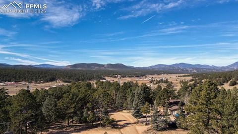 Tiny photo for 281 Mesa Drive, Florissant, CO 80816 (MLS # 6522610)
