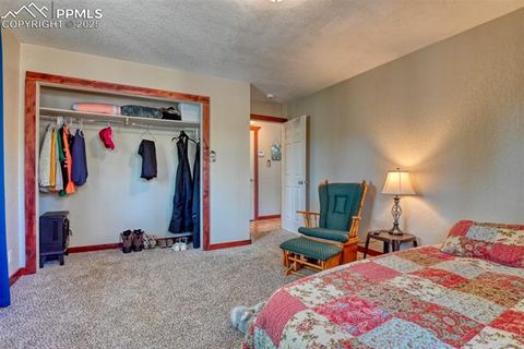 Tiny photo for 281 Mesa Drive, Florissant, CO 80816 (MLS # 6522610)