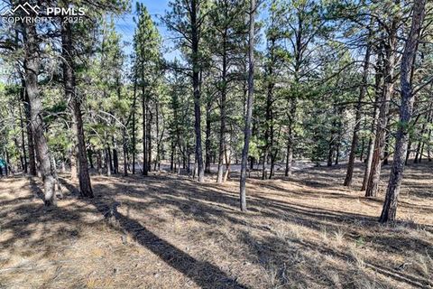Tiny photo for 281 Mesa Drive, Florissant, CO 80816 (MLS # 6522610)