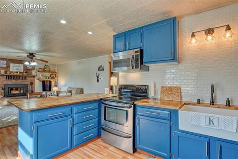Tiny photo for 281 Mesa Drive, Florissant, CO 80816 (MLS # 6522610)