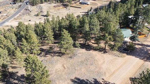 Tiny photo for 281 Mesa Drive, Florissant, CO 80816 (MLS # 6522610)