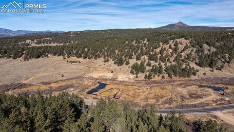 Tiny photo for 281 Mesa Drive, Florissant, CO 80816 (MLS # 6522610)