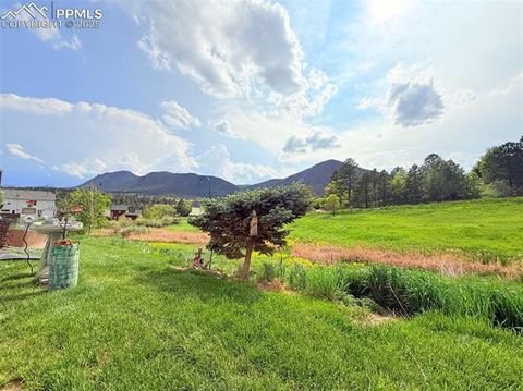 Tiny photo for 94 Vale Street, Palmer Lake, CO 80133 (MLS # 7531635)