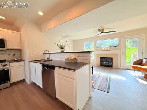 Tiny photo for 94 Vale Street, Palmer Lake, CO 80133 (MLS # 7531635)