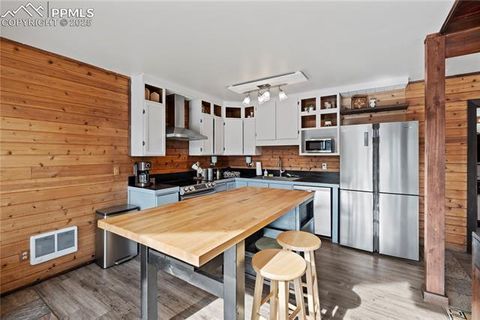 Tiny photo for 145 Valley Lane, Woodland Park, CO 80863 (MLS # 3040018)