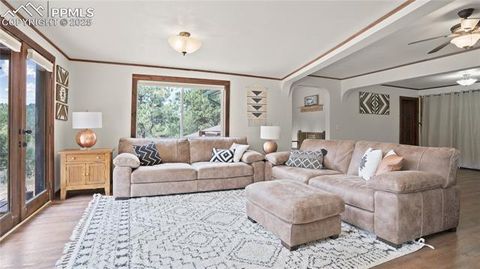 Tiny photo for 145 Valley Lane, Woodland Park, CO 80863 (MLS # 3040018)