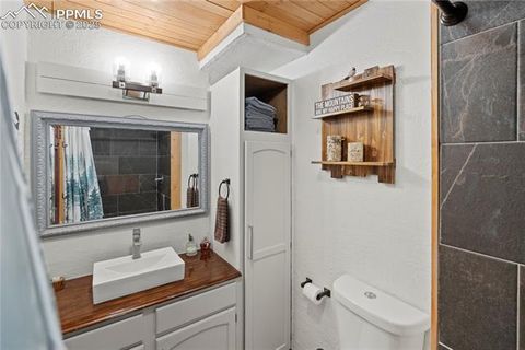 Tiny photo for 145 Valley Lane, Woodland Park, CO 80863 (MLS # 3040018)