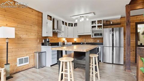 Tiny photo for 145 Valley Lane, Woodland Park, CO 80863 (MLS # 3040018)