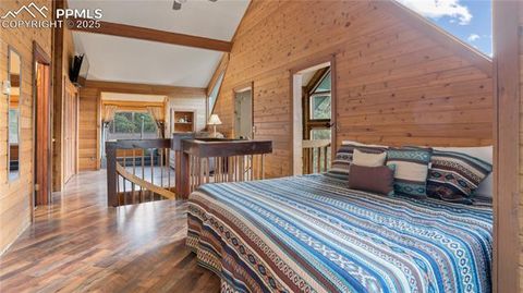 Tiny photo for 145 Valley Lane, Woodland Park, CO 80863 (MLS # 3040018)