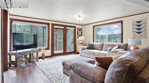 Tiny photo for 145 Valley Lane, Woodland Park, CO 80863 (MLS # 3040018)