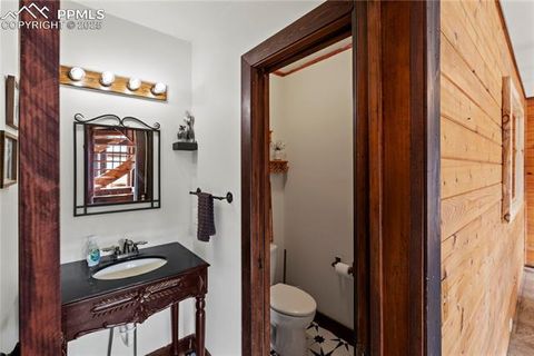 Tiny photo for 145 Valley Lane, Woodland Park, CO 80863 (MLS # 3040018)