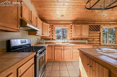 Tiny photo for 37 Surrey Lane, Florissant, CO 80816 (MLS # 1200168)