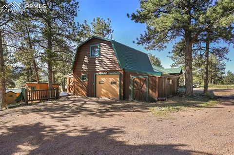 Tiny photo for 37 Surrey Lane, Florissant, CO 80816 (MLS # 1200168)