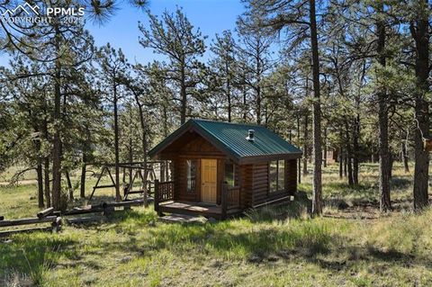 Tiny photo for 37 Surrey Lane, Florissant, CO 80816 (MLS # 1200168)