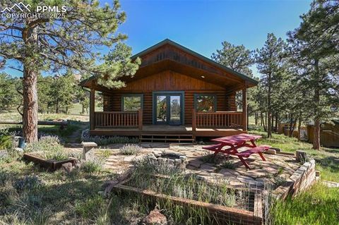Tiny photo for 37 Surrey Lane, Florissant, CO 80816 (MLS # 1200168)