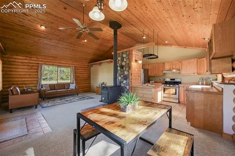 Tiny photo for 37 Surrey Lane, Florissant, CO 80816 (MLS # 1200168)