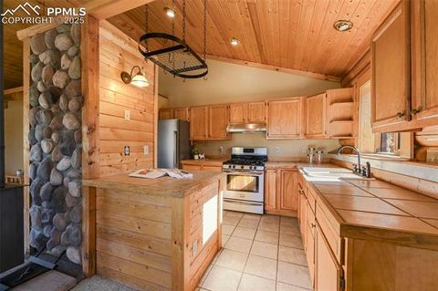 Tiny photo for 37 Surrey Lane, Florissant, CO 80816 (MLS # 1200168)