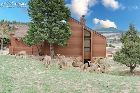 Tiny photo for 4452 Sentinel Rock, Larkspur, CO 80118 (MLS # 7090177)