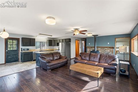 Tiny photo for 399 Saguache Drive, Florissant, CO 80816 (MLS # 5945210)