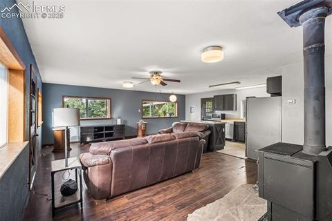 Tiny photo for 399 Saguache Drive, Florissant, CO 80816 (MLS # 5945210)