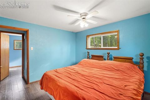 Tiny photo for 399 Saguache Drive, Florissant, CO 80816 (MLS # 5945210)