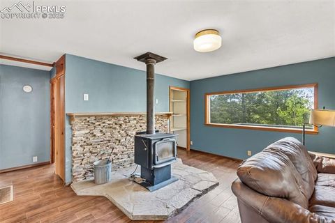 Tiny photo for 399 Saguache Drive, Florissant, CO 80816 (MLS # 5945210)