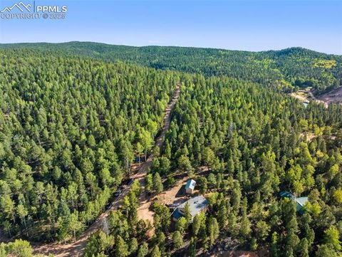Tiny photo for 399 Saguache Drive, Florissant, CO 80816 (MLS # 5945210)