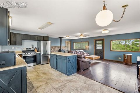 Tiny photo for 399 Saguache Drive, Florissant, CO 80816 (MLS # 5945210)