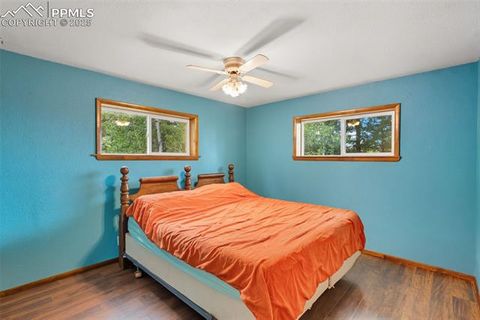 Tiny photo for 399 Saguache Drive, Florissant, CO 80816 (MLS # 5945210)