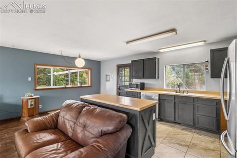 Tiny photo for 399 Saguache Drive, Florissant, CO 80816 (MLS # 5945210)