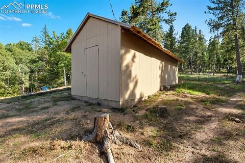Tiny photo for 399 Saguache Drive, Florissant, CO 80816 (MLS # 5945210)