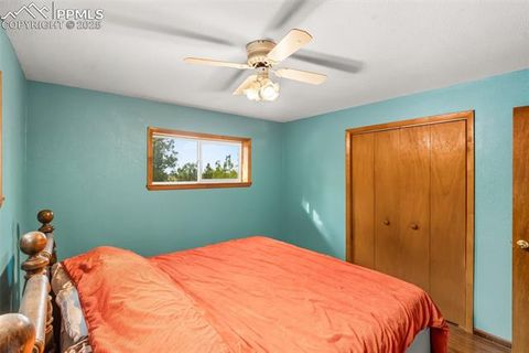 Tiny photo for 399 Saguache Drive, Florissant, CO 80816 (MLS # 5945210)