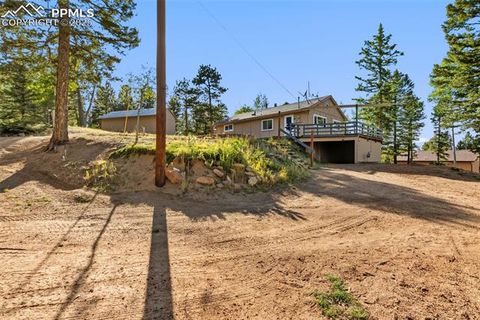 Photo of 399 Saguache Drive, Florissant, CO 80816 (MLS # 5945210)