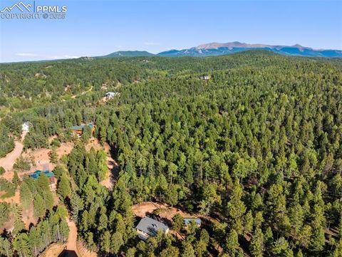 Tiny photo for 399 Saguache Drive, Florissant, CO 80816 (MLS # 5945210)