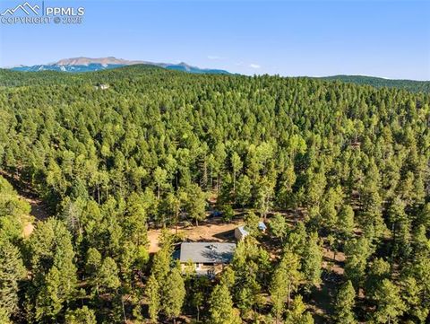 Tiny photo for 399 Saguache Drive, Florissant, CO 80816 (MLS # 5945210)