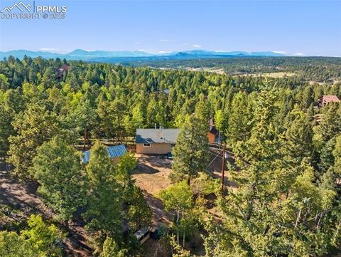 Tiny photo for 399 Saguache Drive, Florissant, CO 80816 (MLS # 5945210)