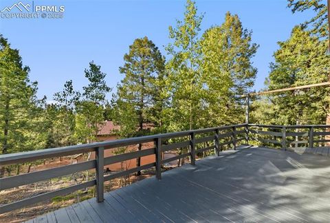 Tiny photo for 399 Saguache Drive, Florissant, CO 80816 (MLS # 5945210)