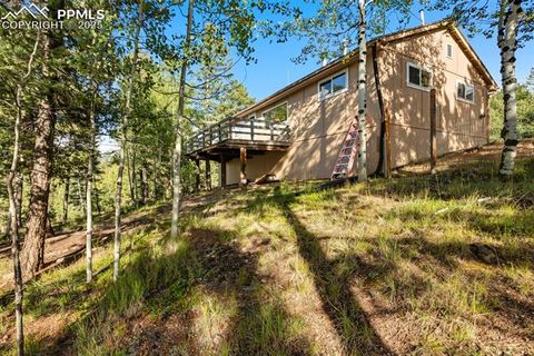 Tiny photo for 399 Saguache Drive, Florissant, CO 80816 (MLS # 5945210)