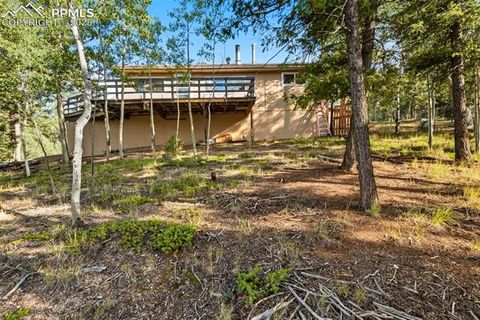 Tiny photo for 399 Saguache Drive, Florissant, CO 80816 (MLS # 5945210)