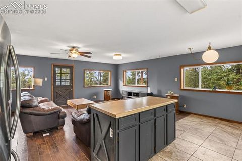 Tiny photo for 399 Saguache Drive, Florissant, CO 80816 (MLS # 5945210)