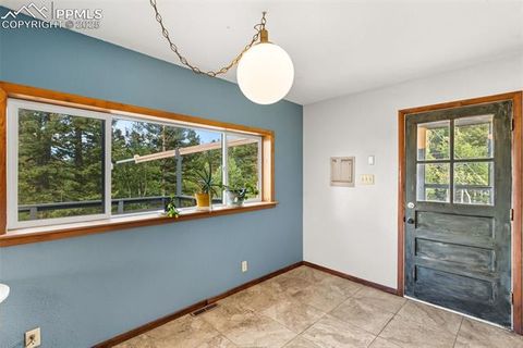 Tiny photo for 399 Saguache Drive, Florissant, CO 80816 (MLS # 5945210)