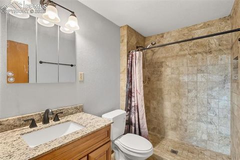 Tiny photo for 399 Saguache Drive, Florissant, CO 80816 (MLS # 5945210)