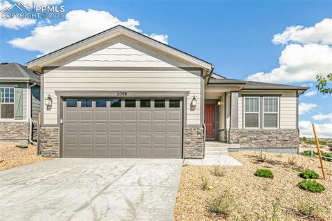 2098 Peachleaf Loop Castle Rock CO 80108