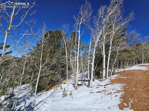Photo of 829 Princess Road, Cripple Creek, CO 80813 (MLS # 2583646)