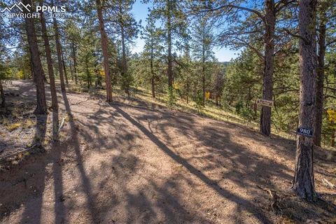 Photo of 980 Spring Creek Drive, Divide, CO 80814 (MLS # 5342338) Photo of 980 Spring Creek Drive, Divide, CO 80814 (MLS # 5342338)