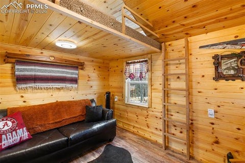 Tiny photo for 26 Blue Spruce Road, Divide, CO 80814 (MLS # 8332040)